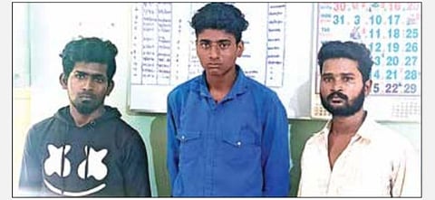 அரக்கோணம் அருகே பாம்பை கடித்து கொன்று வீடியோ பகிர்ந்த 3 பேர் கைது