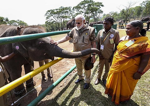 தெப்பக்காடு யானைகள் முகாமில் பிரதமர் மோடியை துதிக்கையால் வருடிய குட்டி யானை பொம்மி. அருகில் பொம்மன் - பெள்ளி தம்பதி. படம்: ஆர்.டி.சிவசங்கர்