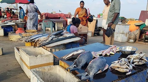 மீன்பிடி தடைக்காலம் ஏப்.15-ம் தேதி தொடக்கம்