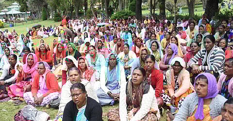 உதகை தாவரவியல் பூங்காவில் அதிகாரிகள் கெடுபிடியால் தொழிலாளர்கள் மீண்டும் பணி புறக்கணிப்பு