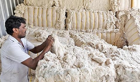 கோவையில் உள்ள ‘ஓஇ’ மில் வளாகத்தில் வைக்கப்பட்டுள்ள கழிவுப்பஞ்சு. (கோப்பு படம்)