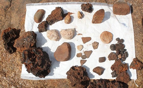 திருமங்கலம் அருகே கோபால்சாமி மலைப்பகுதியில் கண்டறியப்பட்டுள்ள தொல்பொருட்கள்