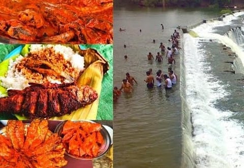 உணவுச் சுற்றுலா | கொடிவேரி மீன் உணவு