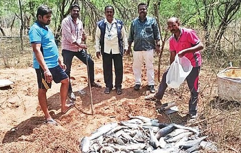 ஒகேனக்கல்லில் விற்பனைக்கு வைக்கப்பட்டிருந்த அழுகிய மீன்களை அதிகாரிகள் பறிமுதல் செய்து அழித்தனர்.