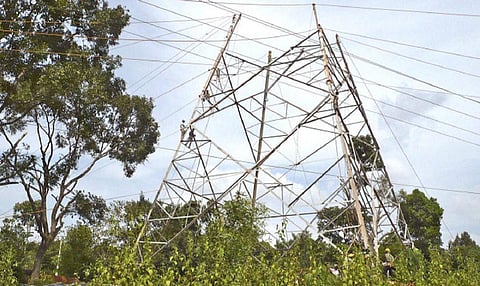 வன உயிரினங்களை பாதுகாக்க நவீன மின்கேபிள் திட்டம்: முதுமலையில் வனத்துறை புது முயற்சி