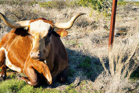 பிரதிநிதித்துவப் படம் | DALL·E 2 ஜெனரேட் செய்யப்பட்டது