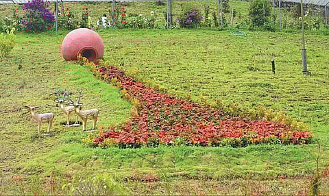 மூணாறு மலர் கண்காட்சிக்காக பானையிலிருந்து மலர்கள் வழிந்தோடுவது போல செய்யப்பட்டுள்ள வடிவமைப்பு.