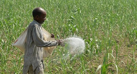 வேம்பு சார்ந்த பூச்சிக்கொல்லிகளின் பயன்பாடு சுற்றுச்சூழலை பாதுகாக்கும்