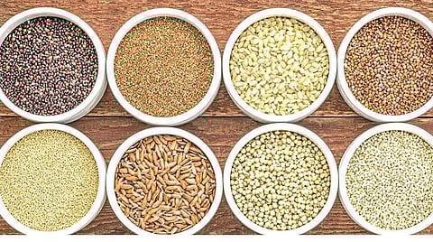 பேசுபொருளாகும் சிறுதானியங்கள்