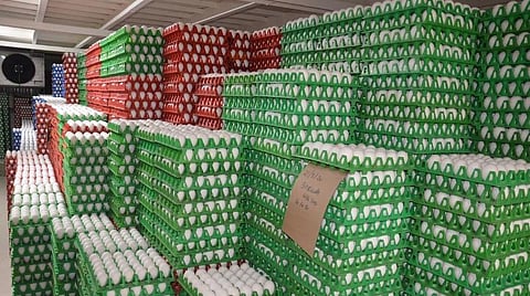 முதல்முறையாக ஏற்றுமதி முட்டைக்கு விலை நிர்ணயம்: கோழிப் பண்ணையாளர்கள் சங்கத் தலைவர் தகவல்