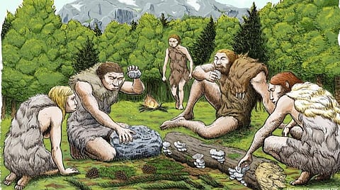 பிரதிநிதித்துவப் படம்