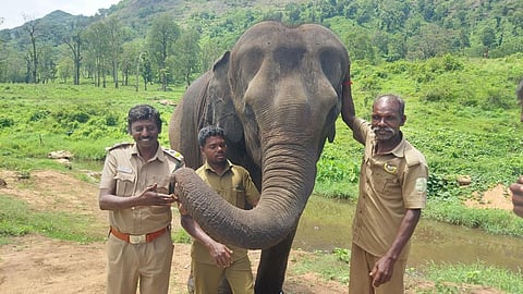 யானை அபிநயாவுடன் வனவர் சோழ மன்னன்