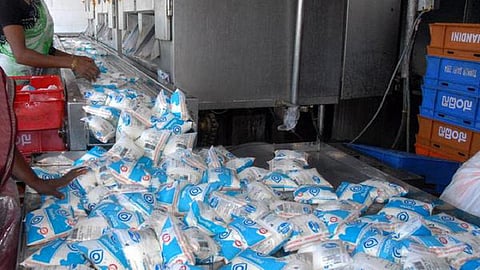 விநியோகத்தில் தாமதத்தை தவிர்க்க மாதவரம் உள்ளிட்ட 3 பால் பண்ணைகளில் தானியங்கி இயந்திரம்: ஆவின் நடவடிக்கை