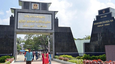 வண்டலூர், கிண்டி பூங்காக்கள் மே மாதம் முழுவதும் திறந்திருக்கும்