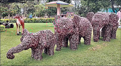 சேலம் தோட்டக்கலைத்துறை சார்பில் பரங்கிகாய்களால் வடிவமைக்கப்பட்ட தேர். (அடுத்த படம்) கத்தரிக்காய்களால் உருவாக்கப்பட்ட யானை குடும்பம்.படங்கள்: ஆர்.டி.சிவசங்கர்