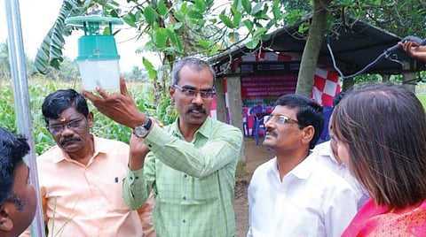 புதுக்கோட்டை மாவட்டம் திருவரங்குளம் பகுதியில் மக்காச்சோள வயலில் சென்சார் இனக்கவர்ச்சி பொறி மூலம் அமெரிக்கன் படைப்புழுவைக் கட்டுப்படுத்துவது குறித்து ஆராய்ச்சியில் ஈடுபட்ட விஞ்ஞானிகள்.