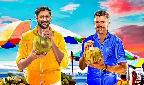 தோனி மற்றும் வார்னர் | படம்: ட்விட்டர்