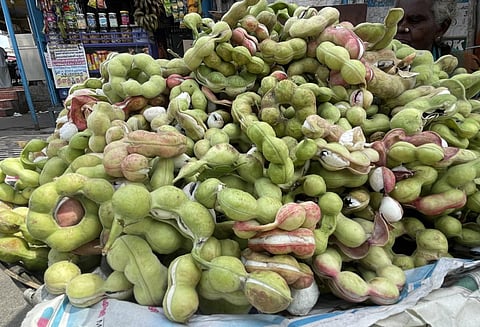 பழநி | ஆப்பிளைவிட கூடுதல் விலைக்கு விற்கப்படும் கொடுக்காப்புளி - ஒரு கிலோ ரூ.200-க்கு விற்பனை