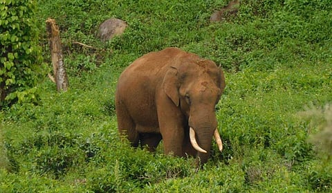 கோப்புப்படம்