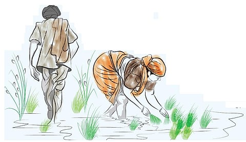 கிராமத்து அத்தியாயம் - 16: முத்தாணியின் பொய்