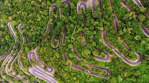 உணவு சுற்றுலா: கொல்லிமலையின் முடவாட்டுக்கால் சூப்