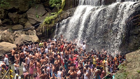 மரக்கிளை முறிந்து விழுந்து சிறுமி உயிரிழப்பு: சுருளி அருவியில் சுற்றுலா பயணிகள் குளிக்க தடை