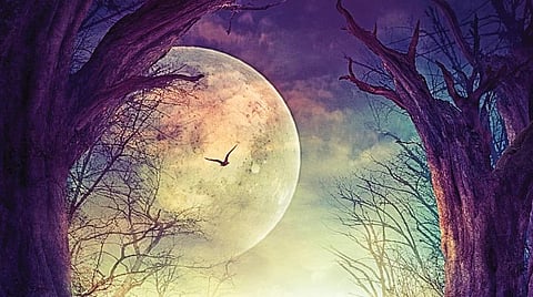 விடை தேடும் அறிவியல் 04: உயிர்களைக் கட்டுப்படுத்துகிறதா நிலா?