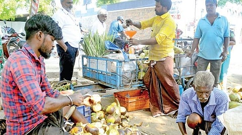 பாளையங்கோட்டையில் நுங்கு, பதனீர், இளநீர் விற்பனை விறுவிறுப்பாக நடைபெற்றது. படம்: மு. லெட்சுமி அருண்.