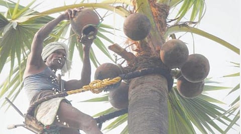 கள்ளச் சாராயத்தை ஒழிக்க கள் இறக்க அனுமதி வழங்க விவசாயிகள் கோரிக்கை