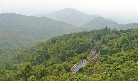 திண்டுக்கல் அருகே அமைந்துள்ள சிறுமலையின் எழில்மிகு தோற்றம்.