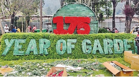 175 ஆண்டுகளை கடந்த உதகை தாவரவியல் பூங்கா: மலர் கண்காட்சியில் சிறப்பு அலங்காரம்