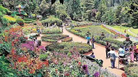 சுற்றுலா ஸ்பெஷல்: கோடையைக் கொண்டாட ஊட்டி போகலாம் வாங்க! - எப்படி செல்லலாம், எங்கே தங்கலாம்?