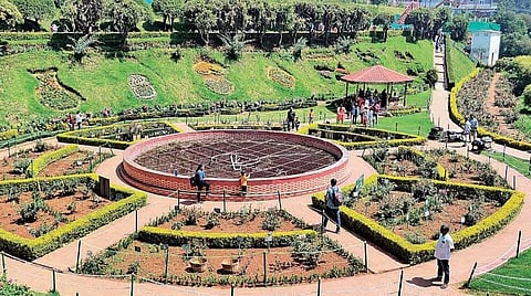 உதகை சுற்றுலா - 4,000 வகை மலர்களை கொண்ட ரோஜா பூங்கா