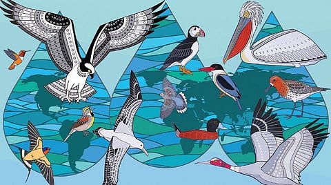 சுற்றுச்சூழலைக் காக்கப் பறவைகள் ஆற்றும் அரிய சேவைகள்!