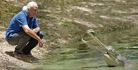 இந்தியாவின் எதிர்காலம் ஊர்வனவற்றைச் சார்ந்ததே! - காட்டுயிர்ப் பாதுகாவலர் ரோமுலஸ் விட்டேகர் நேர்காணல்