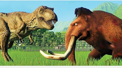 வெப்பம் அதிகரிக்கும்காலத்தில் கம்பளி யானைகள் என்ன செய்யும்?