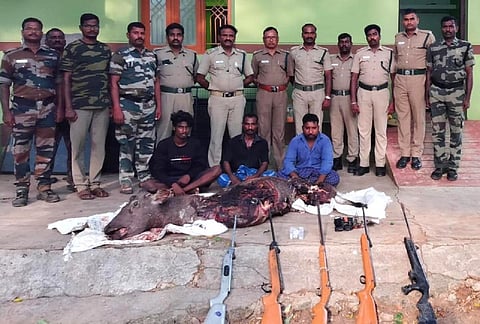 கொடைக்கானல் அருகே கடமான் வேட்டை: மூன்று பேர் கைது