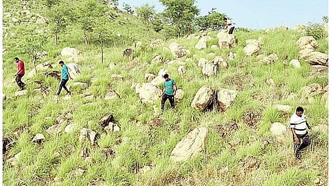 ஆரணி அடுத்த பூசிமலைகுப்பம் மலையில் ‘ட்ரோன்’ கேமரா உதவியுடன் நேற்று சோதனையில் ஈடுபட்ட காவல் துறையினர்.