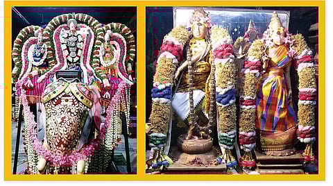 பரமனுக்கு மணமுடித்த பக்தை