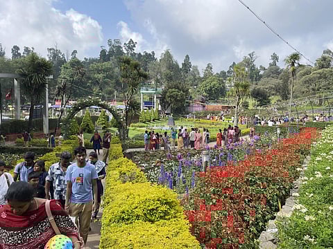 இன்றுமுதல் கொடைக்கானல் கோடை விழா