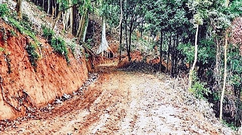 குன்னூர் | யானைகள் வழித்தடத்தில் சொகுசு விடுதி கட்ட அத்துமீறல்: மரங்களை வெட்டி பாதை அமைத்த தனியார் எஸ்டேட் நிர்வாகம்