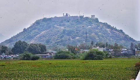 பழநி முருகன் கோயிலில் ‘பிரேக் தரிசன’ திட்டம்: பக்தர்கள் கருத்து தெரிவிக்கலாம்