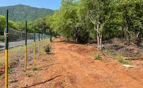 மத்திய அரசு சார்பில் ரூ.40 லட்சத்தில் சிறுமலை அடிவாரத்தில் அமைகிறது சுற்றுச்சூழல் பூங்கா