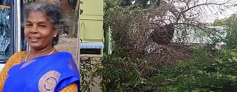 ஸ்ரீவில்லிபுத்தூர் அருகே விஷ வண்டு கடித்ததில் விஏஓ உயிரிழப்பு