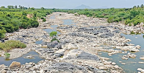 அரூர் அருகேயுள்ள கீழ்மொரப்பூர் ஊராட்சி தாமலேரிப்பட்டியில் அமைந்துள்ள தென்பெண்ணை ஆற்றில் நீரேற்று நிலையம் அமைக்க வேண்டும் என்று குறிப்பிடப்படும் பகுதி. படம்: எஸ்.செந்தில்