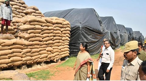 தருமபுரி அடுத்த வெத்தலைக்காரன் பள்ளம் திறந்தவெளி நெல் கிடங்கில் ஆய்வு நடத்திய ஆட்சியர் சாந்தி