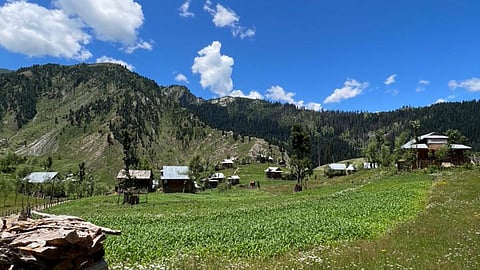 சட்டப்பிரிவு 370 ரத்து செய்யப்பட்ட பிறகு ஜம்மு காஷ்மீர் சுற்றுலா துறையில் மறுமலர்ச்சி