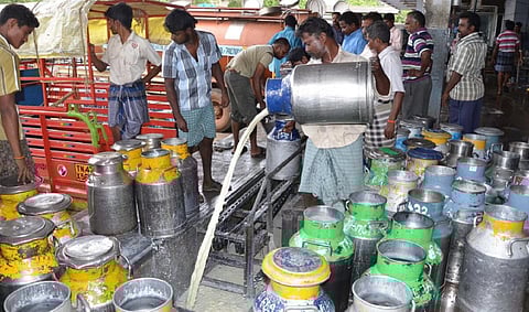 ஆவின் பால் கொள்முதல், விநியோக விவகாரம்: முதல்வர் தீர்வு காண தினகரன் வலியுறுத்தல்