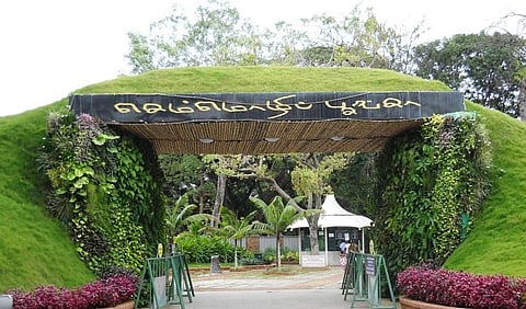 சென்னை செம்மொழி பூங்காவில் ஜூன் 6 வரை மலர்க் கண்காட்சி - சிறப்பு அம்சங்கள் என்னென்ன?