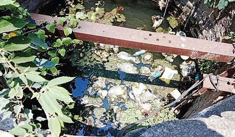 கெலமங்கலத்தில் பேரூராட்சிக்கு உட்பட்ட குடிநீர் கிணற்றில் குப்பைகள் கொட்டுவதால், நீர் மாசடைந்து உள்ளது.